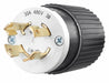 Locking Plug Black/White 480VAC 10.0 HP
