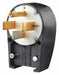 Straight Blade Plug Black/Wht 125/250VAC