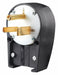 Angle Straight Blade Plug 3.0 HP 250VAC