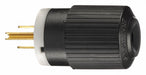 Straight Blade Plug 0.5 HP 125VAC