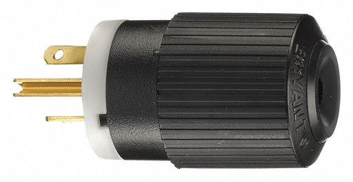 Straight Blade Plug Black/Wht 250VAC