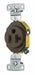 Receptacle Brown 125VAC Mounting Flush