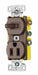 Combo Device Brown 1P Switch and Recpt