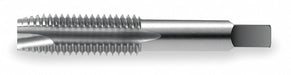 Spiral Point Tap #12-24 2 3/8 in