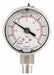 D1359 Compound Gauge Liquid Filled 2 In