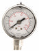 D1359 Pressure Gauge Liquid Filled 2 In
