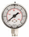 D1359 Pressure Gauge Liquid Filled 2 In