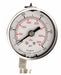 D1359 Pressure Gauge Liquid Filled 2 In