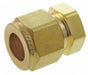 Plug Brass Compression 1/4 in