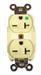 Recept Ivory 20 A 2P3W Back Side 1PK