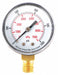 Pressure Gauge Test 2 In