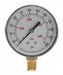 Pressure Gauge Test 2-1/2 In