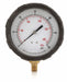 D1382 Pressure Gauge Test 4 In