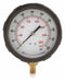 D1382 Pressure Gauge Test 4 In