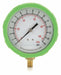 D1382 Pressure Gauge Test 4 In