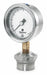 D0988 GaugewDiaphragmSeal600psi1PK