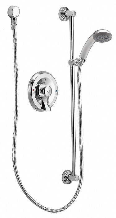 Handheld Shower Flat Circle 2.5 gpm
