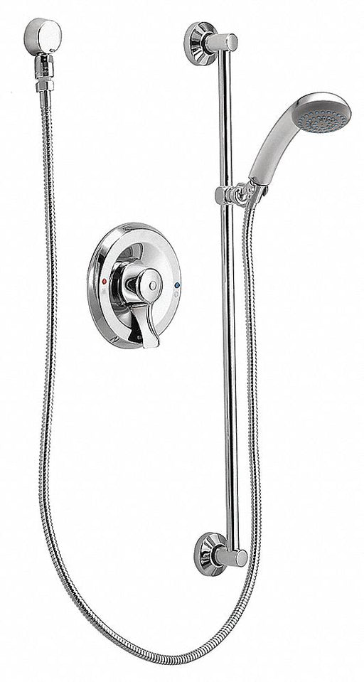 Handheld Shower Flat Circle 2.5 gpm