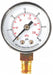 Pressure Gauge Test 1-1/2 In