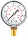 Pressure Gauge Test 2 In