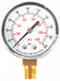 Pressure Gauge Test 2 In