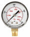 Pressure Gauge Test 2 In
