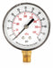 Pressure Gauge Test 2-1/2 In