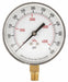 Pressure Gauge Test 3-1/2 In