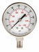 Pressure Gauge Test 2-1/2 In