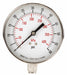 Pressure Gauge Test 3-1/2 In