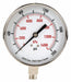D1366 Pressure Gauge Test 3-1/2 In