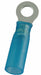 RT 16to14AWG Blue HST Stud#10 PK25