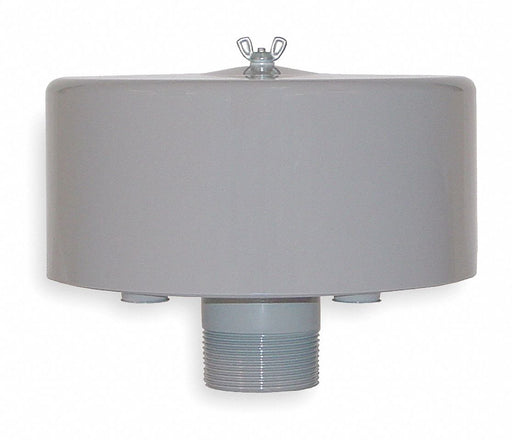 Filter Silencer 2 MNPT Inlet 135 cfm