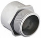 Conduit Adapter PVC Trade Size 1 1/4in