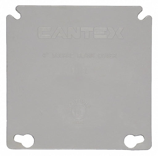 Plastic Ring Cover 2-Gang 4 in