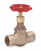 Globe Valve 1-1/2 Bronze Socket 200 psi