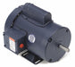 50 Hz Motor 3/4 HP 1 425 RPM 110/220V 56