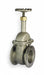 Gate Valve 4 Aluminum Flange