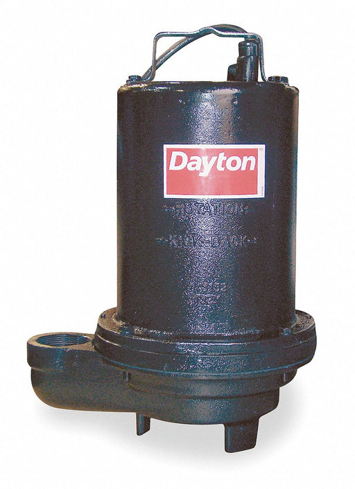 1 HP Effluent Pump No Switch Included