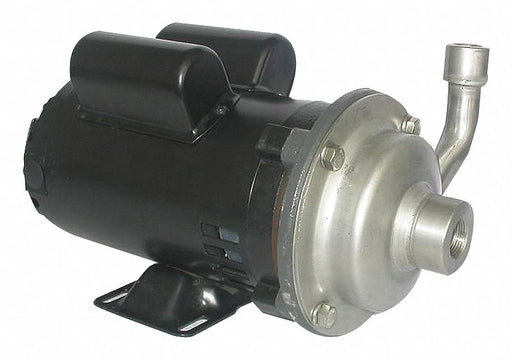 Cntrfug Pmp 304SStl 1P 1/2in 1/3hp 21gpm