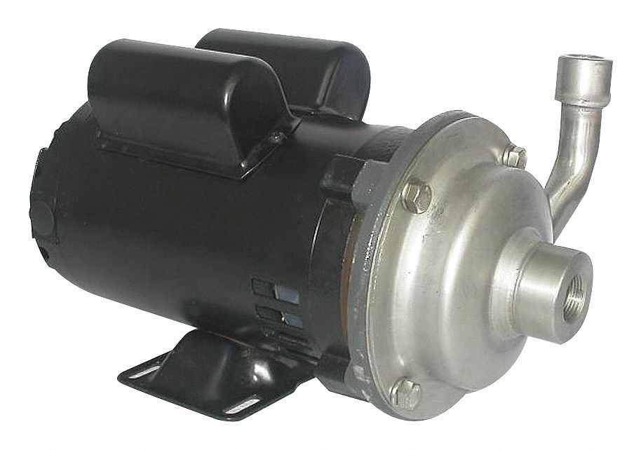 Cntrfug Pmp 304SStl 1P 1/2in 1/3hp 21gpm