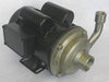 Cntrfug Pmp 304SStl 1P 3/4in 1/2hp 38gpm