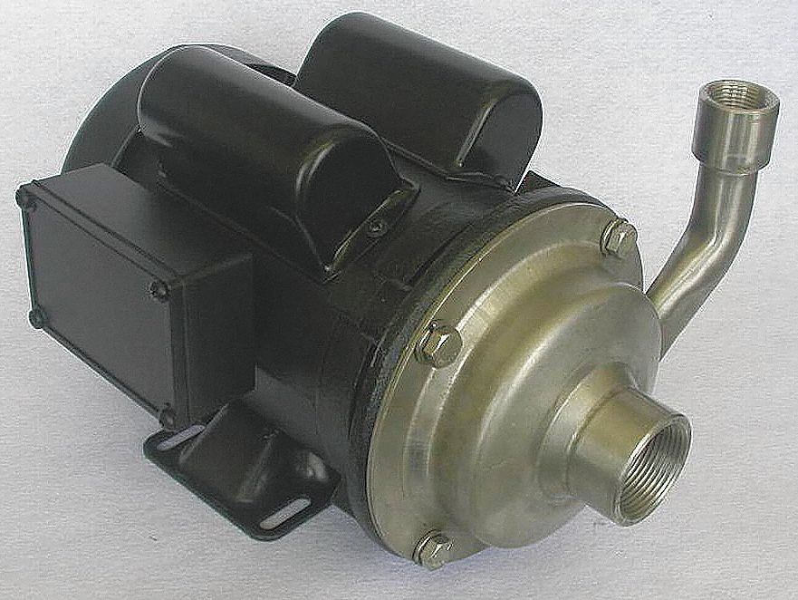Cntrfug Pmp 304SStl 1P 1/2in 1/3hp 21gpm