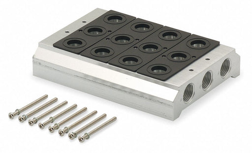 Manifold Kit 6 7/8 in L 4 7/8 in W