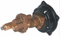 Rotary Gear Pump Head 1/4 in 1/2 HP