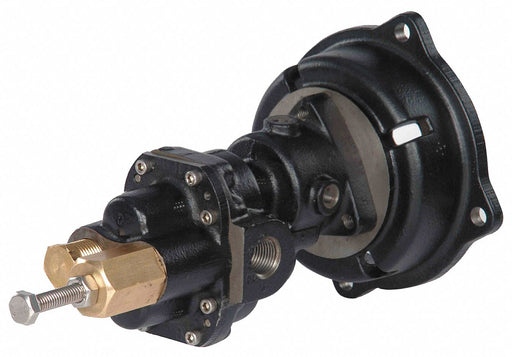 Rotary Gear Pump Head 1/2 in 3/4 HP