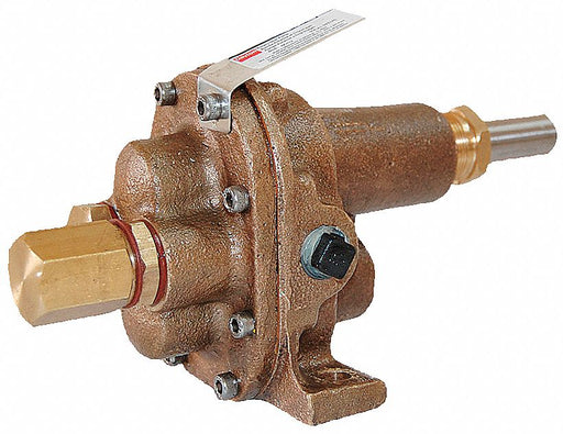 Rotary Gear Pump Head 1 in 1 HP