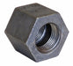 Hex Coupling Cast Iron 1 in Female NPT
