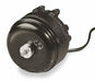 Unit Bearing Motor CWLE 1/2 in L