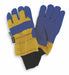 D1599 Cold Protection Gloves L Blue/Yellow PR